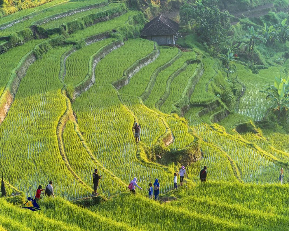Sapa Three Day Trek Muong Hoa Valley Route